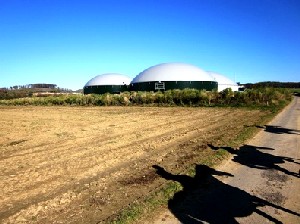Biogas-Anlage in Heuchelheim? Noch sind sehr viele Bürger kritisch (Foto: Paulwip  / pixelio.de)